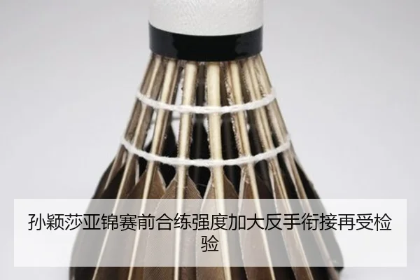孙颖莎亚锦赛前合练强度加大反手衔接再受检验